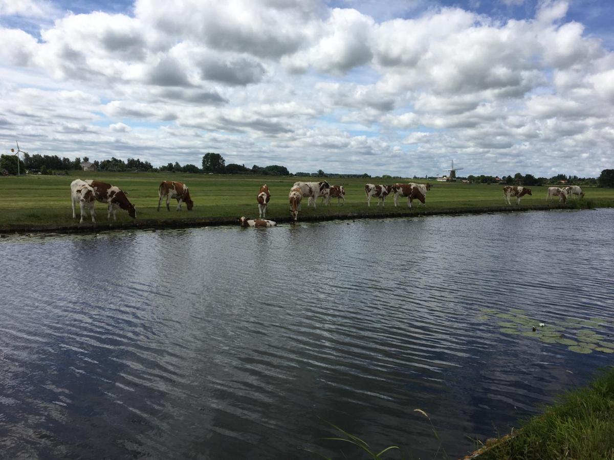 5 Persons Comfort Vakantiehuis *
